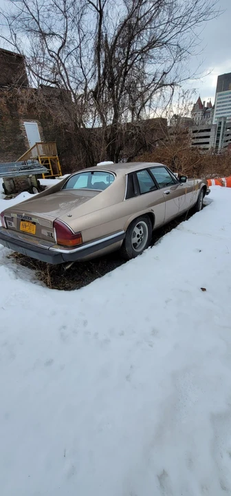 1985 Jaguar XJS - Image 10 of 13