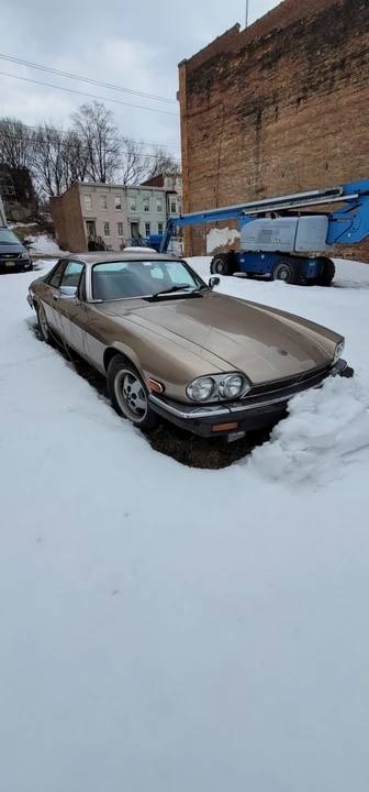 1985 Jaguar XJS - Image 2 of 13