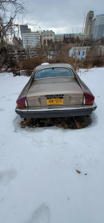 1985 Jaguar XJS - Image 11 of 13