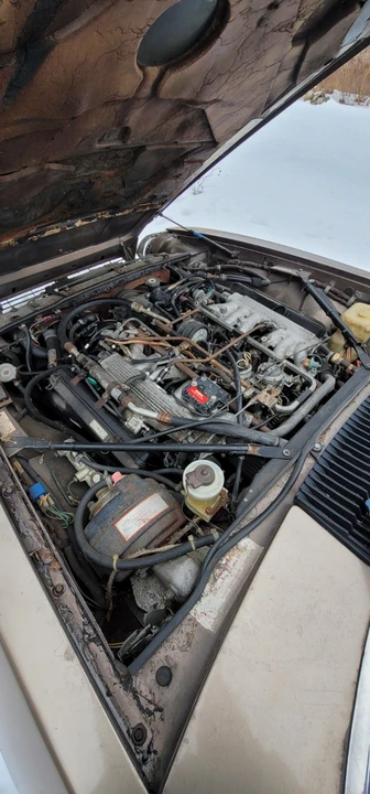1985 Jaguar XJS - Image 4 of 13