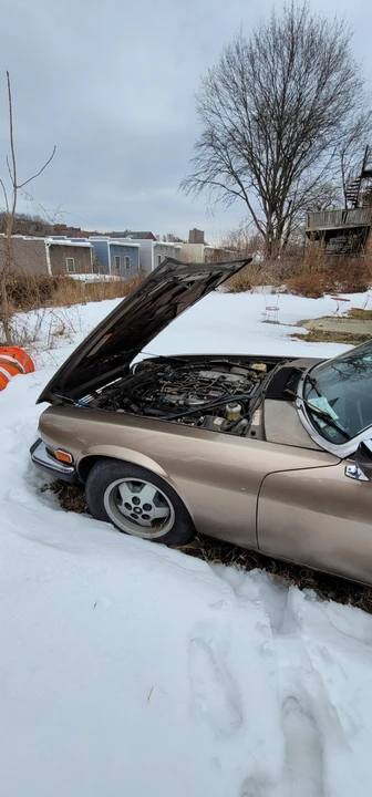 1985 Jaguar XJS - Image 3 of 13