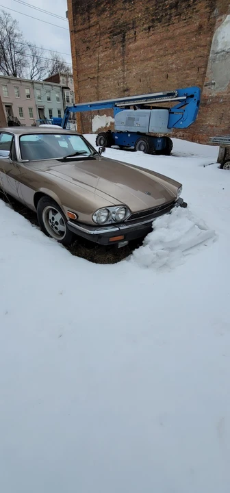 1985 Jaguar XJS - Image 8 of 13