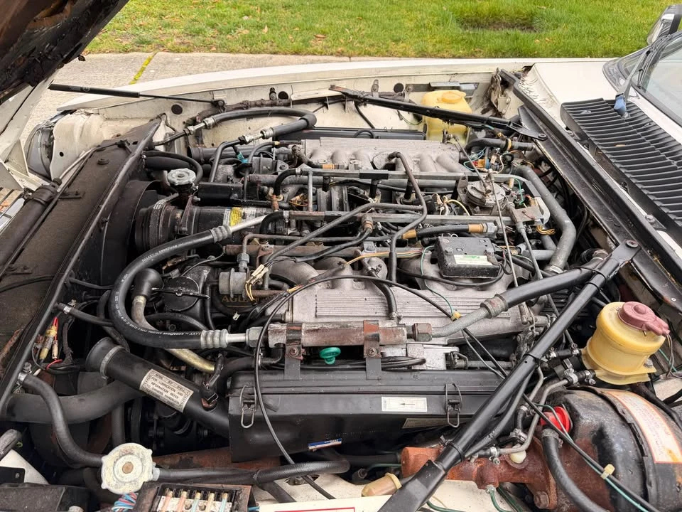 1985 Jaguar XJS Pre-Facelift V12 - Image 12 of 12