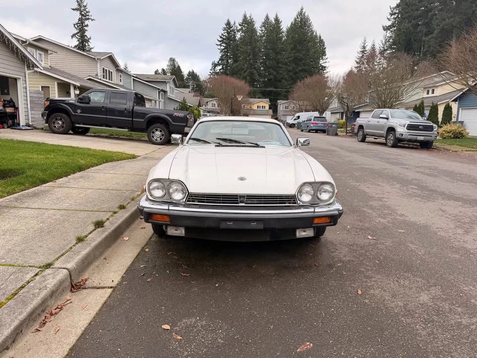 1985 Jaguar XJS Pre-Facelift V12 - Image 8 of 12