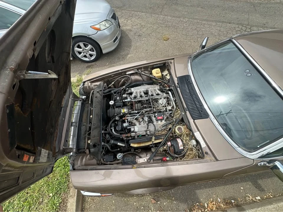 1985 Jaguar XJS Pre-Facelift V12 - Image 14 of 14