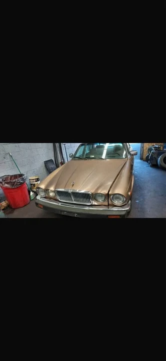 1985 Jaguar XJ Series 3 - Image 7 of 8