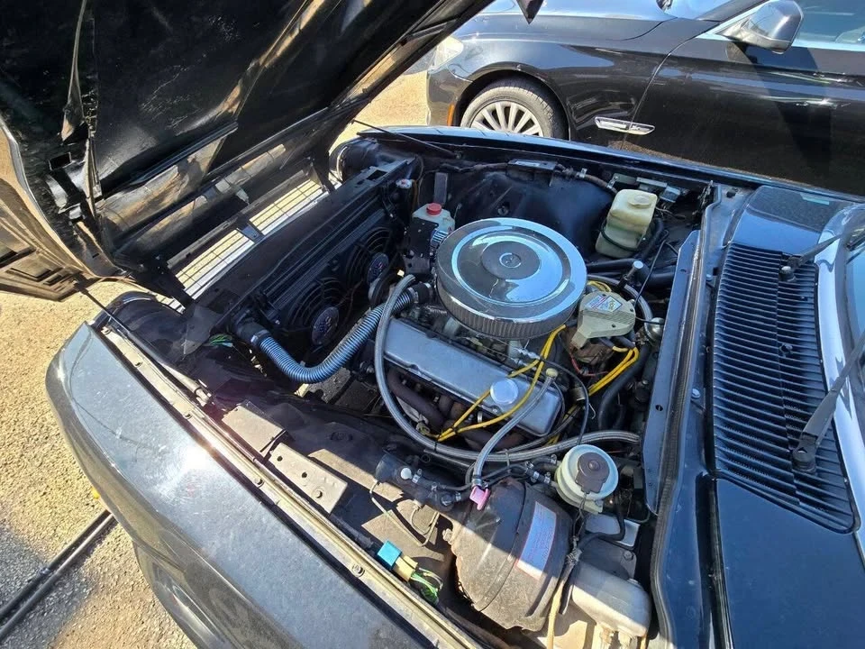 1985 Jaguar XJ Series 3 - Image 12 of 12