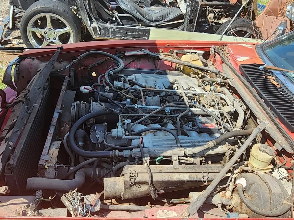 1985 Jaguar XJS Pre-Facelift V12 - Image 2 of 9