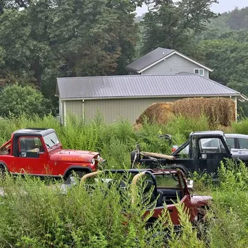 1985 Jeep Renegade Trailhawk Sport Utility 4D
