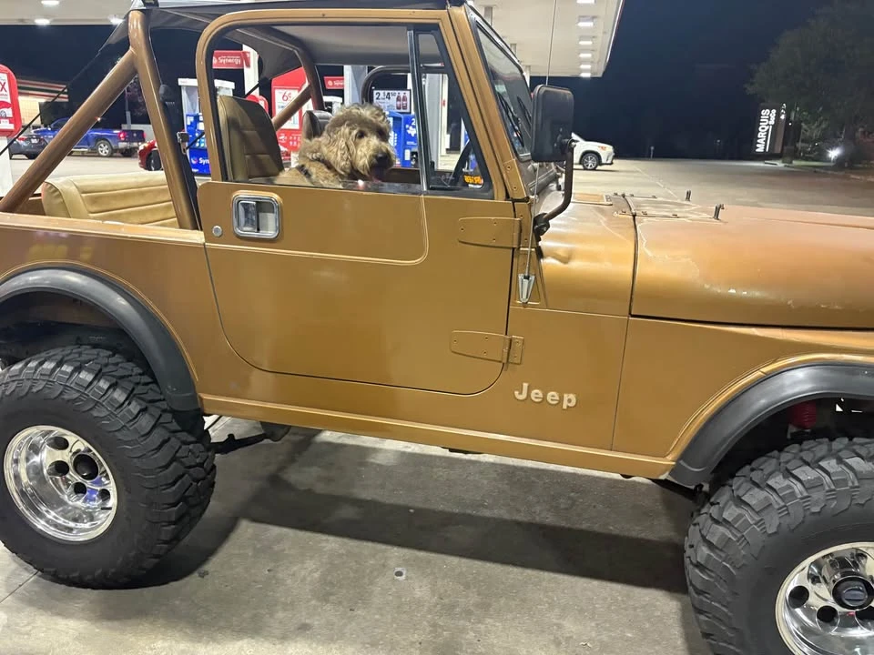1985 Jeep CJ7 - Image 6 of 7