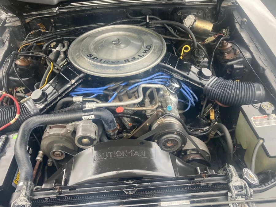 1985 Mercury Capri - Image 14 of 14
