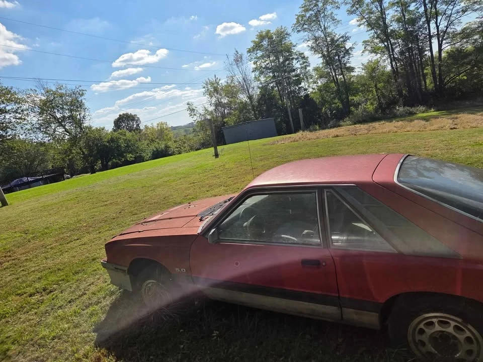 1985 Mercury Capri - Image 4 of 4
