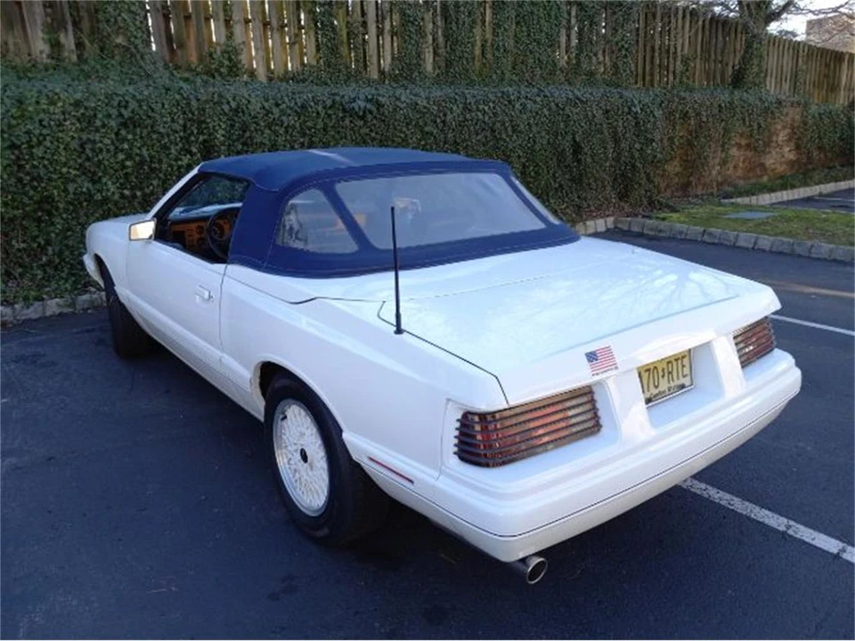 1985 Mercury Capri - Image 10 of 16