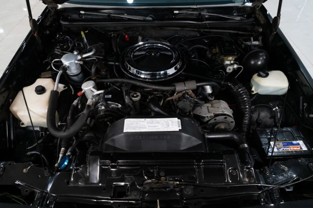 1985 Oldsmobile 442 4th Gen - Image 6 of 8