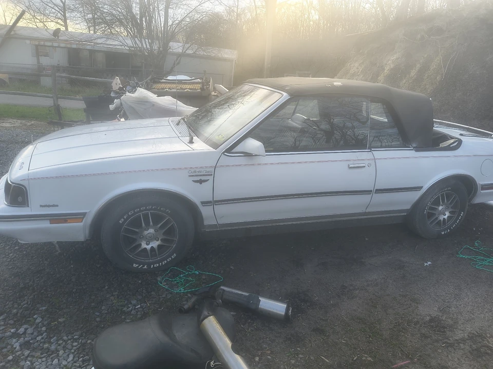 1985 Oldsmobile Cutlass Supreme - Image 3 of 10