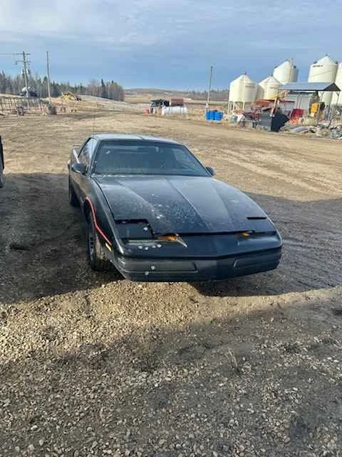 1985 Pontiac Firebird 3rd Gen - Image 6 of 10