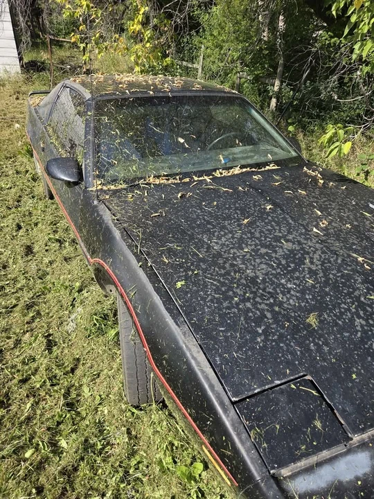 1985 Pontiac Firebird 3rd Gen - Image 5 of 10