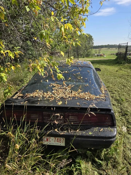1985 Pontiac Firebird 3rd Gen - Image 4 of 10