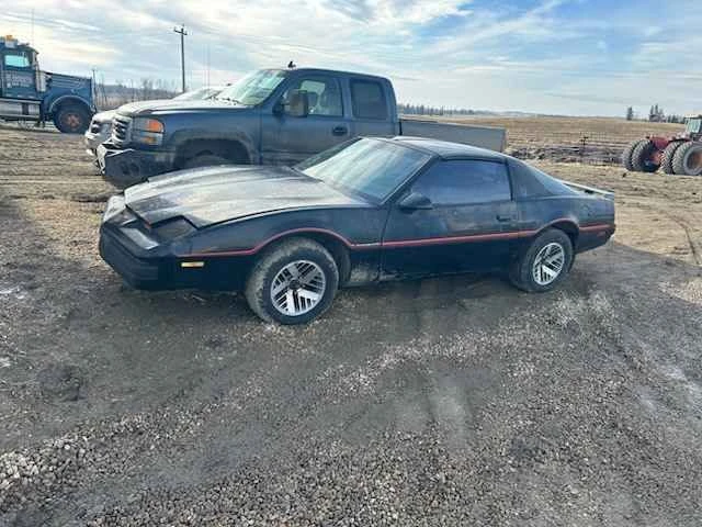 1985 Pontiac Firebird 3rd Gen - Image 7 of 10
