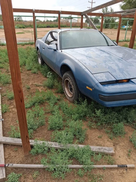 1985 Pontiac Firebird 3rd Gen - Image 2 of 9