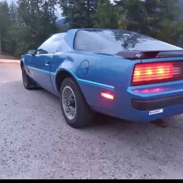 1985 Pontiac Firebird