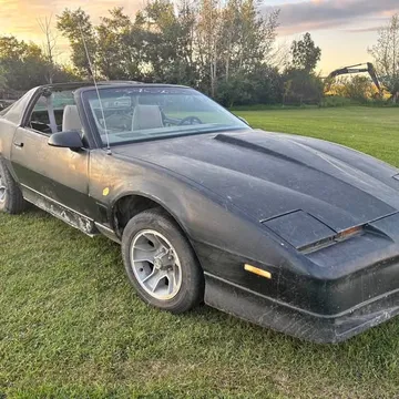 1985 Pontiac Firebird Trans Am