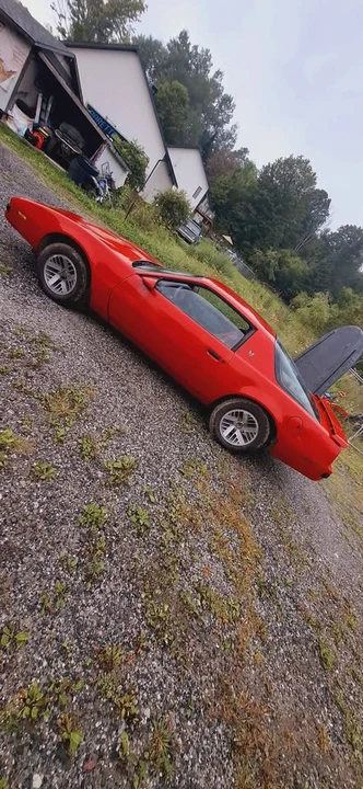 1985 Pontiac Firebird 3rd Gen - Image 8 of 15