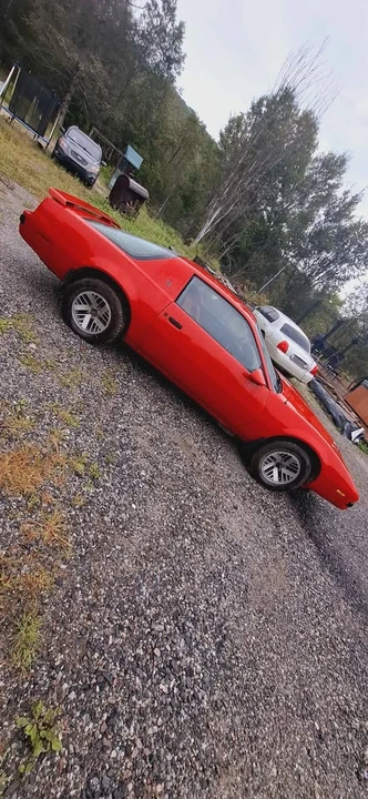 1985 Pontiac Firebird 3rd Gen - Image 4 of 15