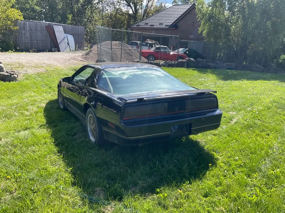 1985 Pontiac Firebird 3rd Gen - Image 4 of 7