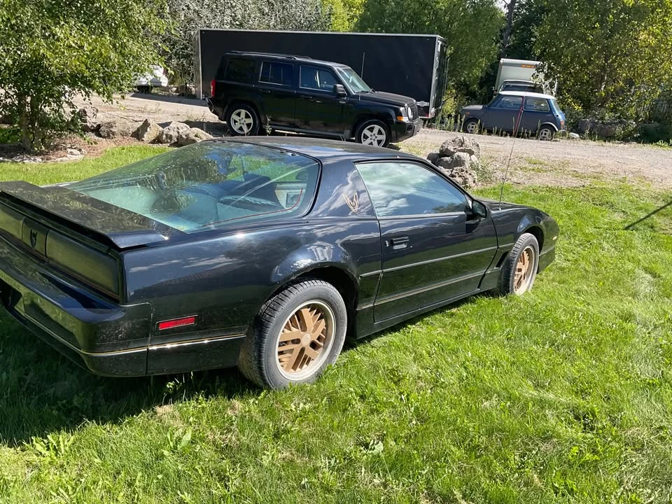1985 Pontiac Firebird 3rd Gen - Image 3 of 7