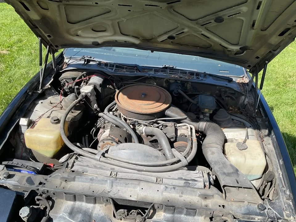 1985 Pontiac Firebird 3rd Gen - Image 5 of 7
