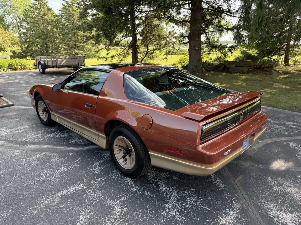 1985 Pontiac Firebird Trans Am 3rd Gen - Image 3 of 12