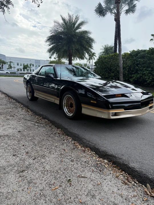 1985 Pontiac Firebird Trans Am 3rd Gen - Image 3 of 15