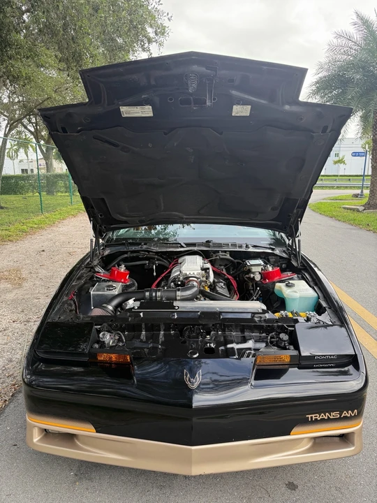 1985 Pontiac Firebird Trans Am 3rd Gen - Image 5 of 15