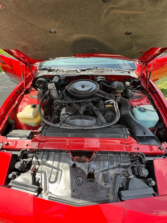 1985 Pontiac Firebird Trans Am 3rd Gen - Image 18 of 21