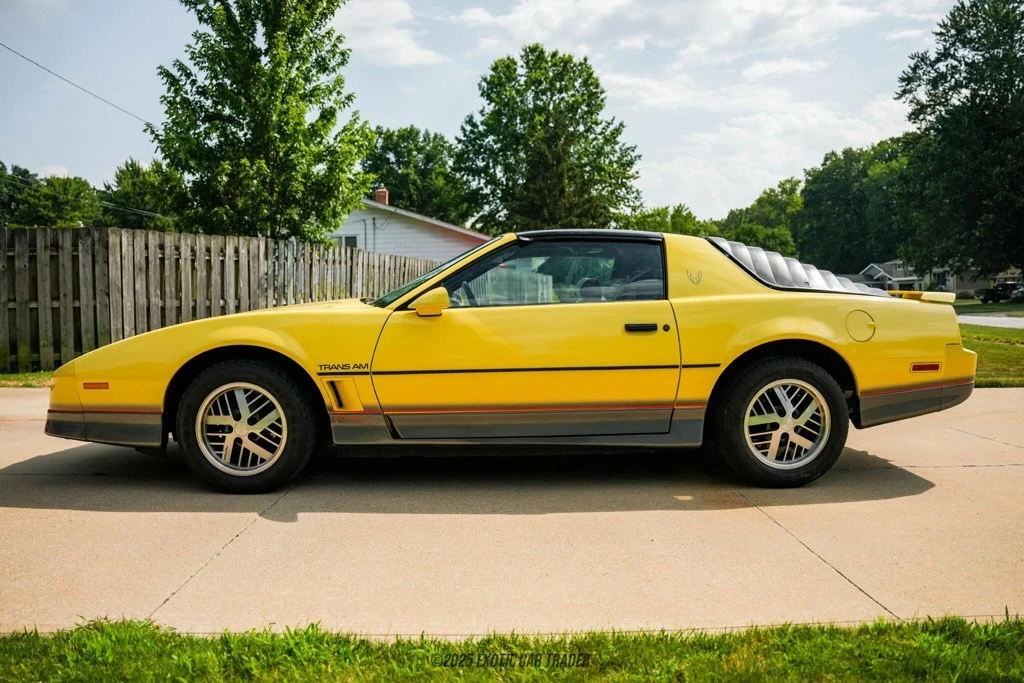 1985 Pontiac Firebird Trans Am 3rd Gen - Image 3 of 12