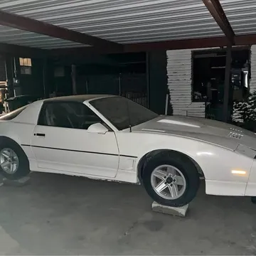 1985 Pontiac Firebird Trans Am