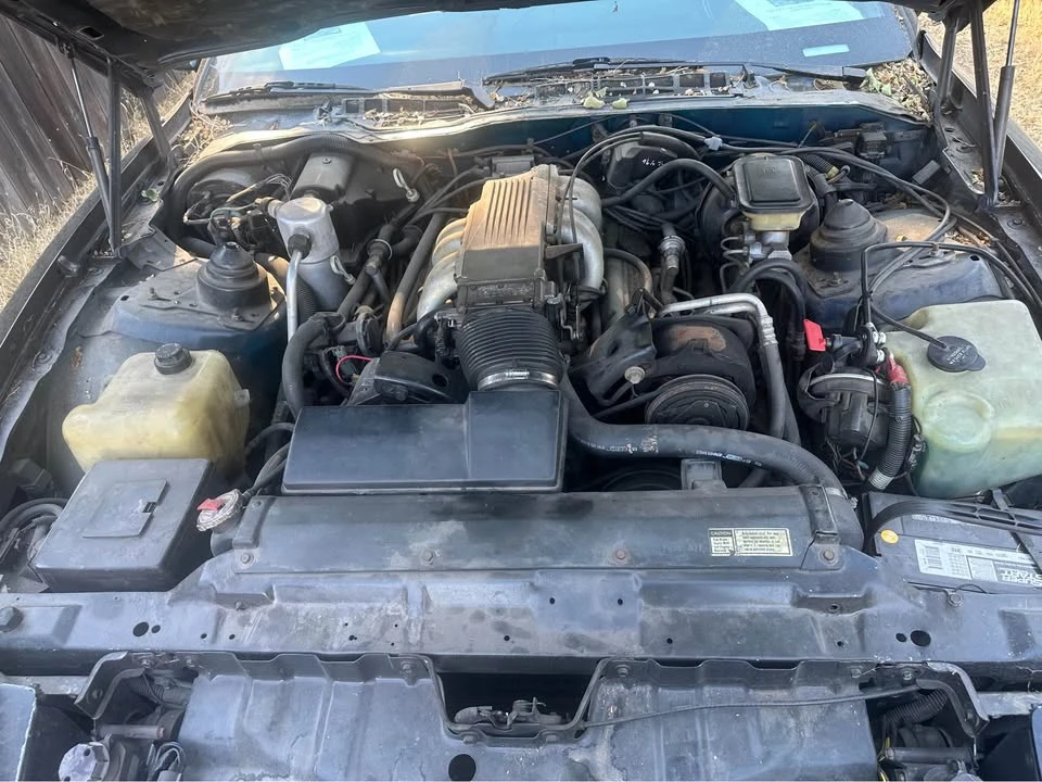 1985 Pontiac Firebird Trans Am 3rd Gen - Image 2 of 8