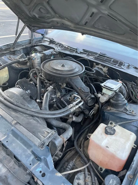 1985 Pontiac Firebird Trans Am 3rd Gen - Image 3 of 10