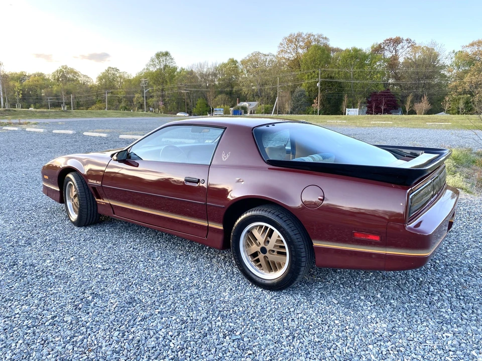 1985 Pontiac Firebird Trans Am 3rd Gen - Image 9 of 31