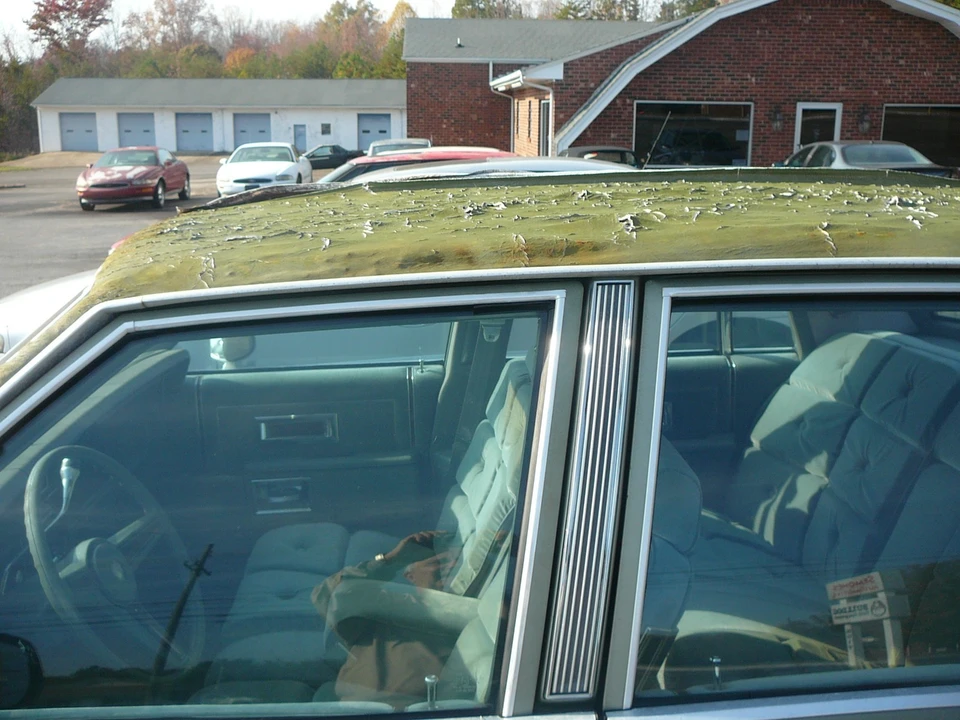 1985 Pontiac Parisienne - Image 17 of 20