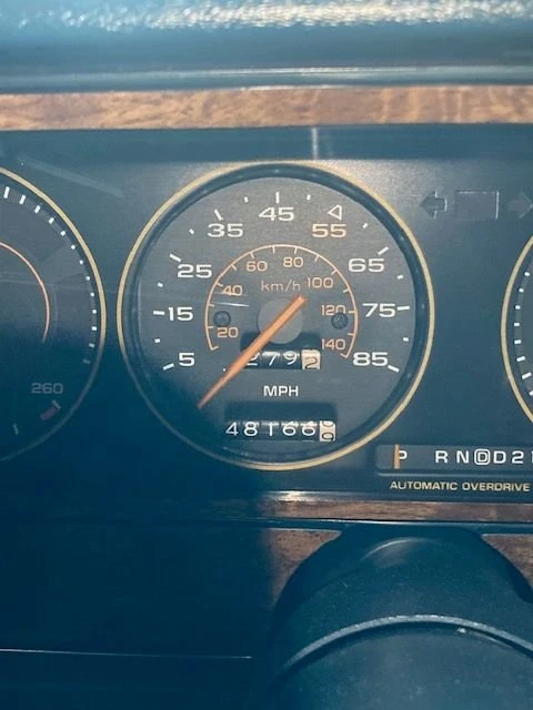 1985 Pontiac Parisienne - Image 14 of 19