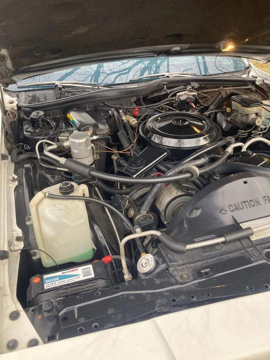 1985 Pontiac Parisienne - Image 17 of 19