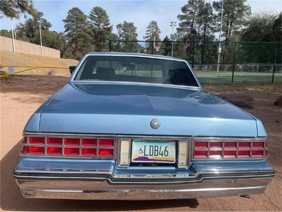 1985 Pontiac Parisienne - Image 15 of 20
