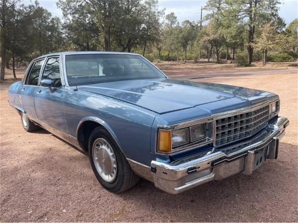 1985 Pontiac Parisienne - Image 18 of 20