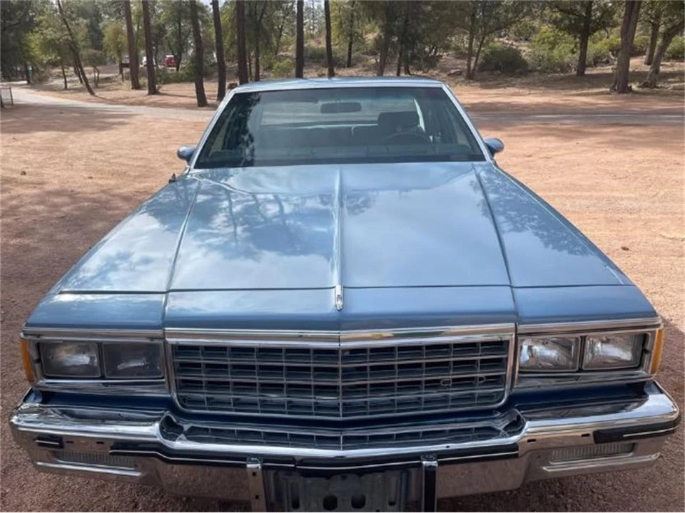 1985 Pontiac Parisienne - Image 19 of 20