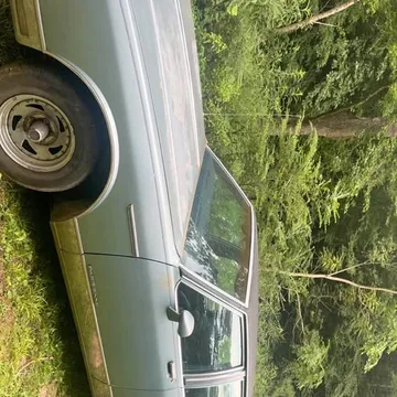 1985 Pontiac Parisienne Car