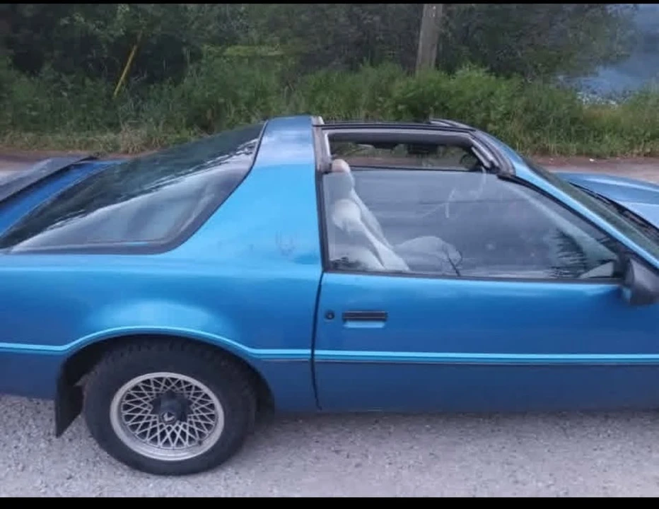 1985 Pontiac Firebird 3rd Gen - Image 7 of 7