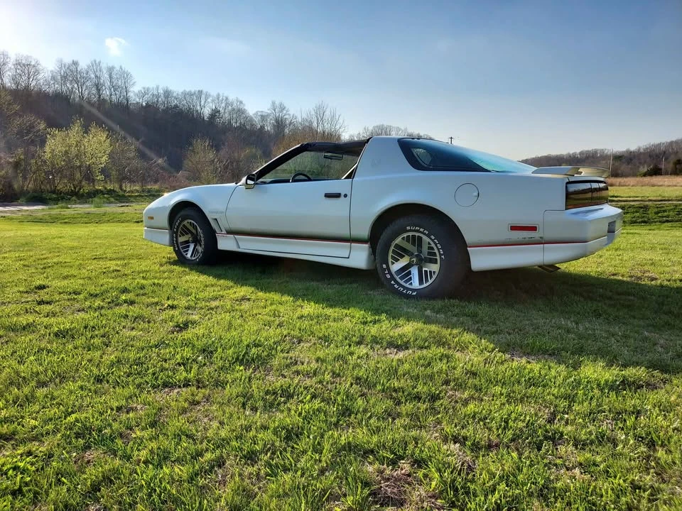 1985 Pontiac Firebird Trans Am 3rd Gen - Image 3 of 8