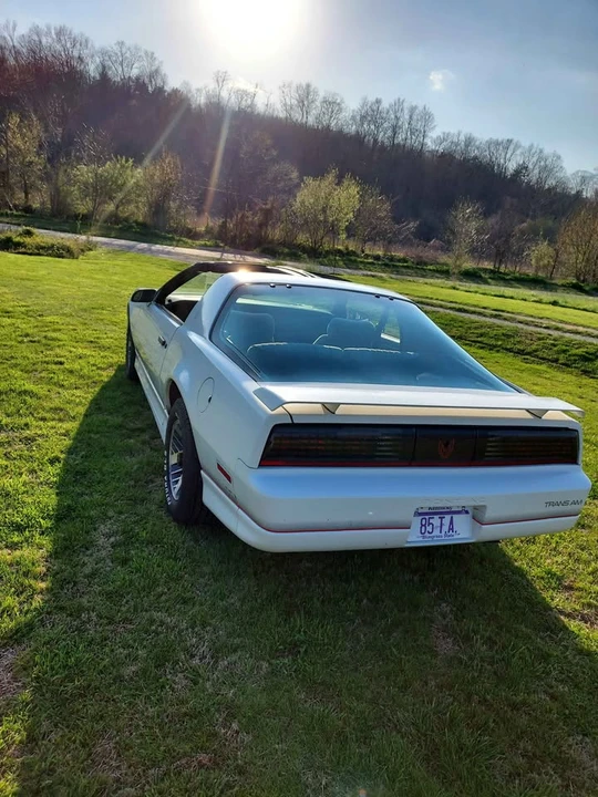 1985 Pontiac Firebird Trans Am 3rd Gen - Image 6 of 8
